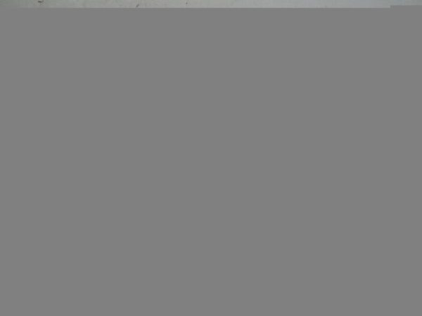 BMW 3 2.5 B 05r listwa wtryskowa 7542541 7542070 - obrazek 3