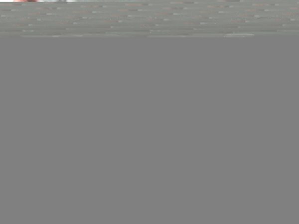 Ford TRANSIT MK7 2.2 TDCI QVFA 110KM pokrywa filtra powietrza 6743124 - obrazek 4
