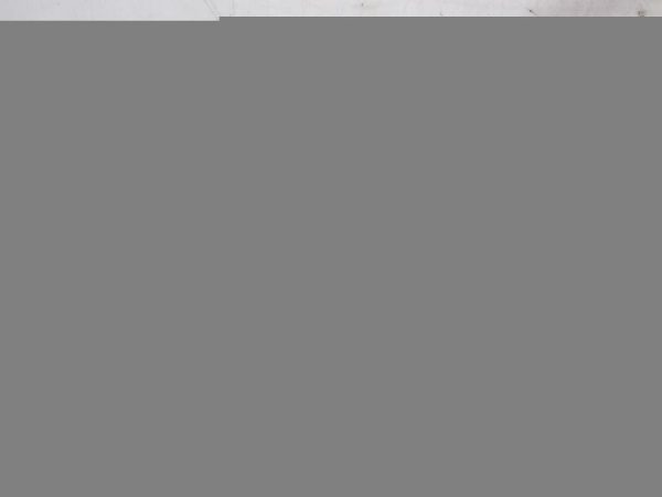 HONDA CR-V 2.2 I-CTDI N22A2 czujnik poziomu oleju 6PR009210-00