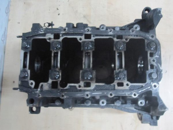 OPEL FIAT 1.3 CDTI 263A2000 Blok silnika nominalny 55200513 - obrazek 4